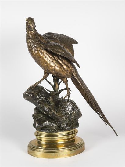 Alfred DUBUCAND (1828- 1894)
Faisan doré...