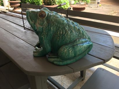 Grenouille de bassin (accident)