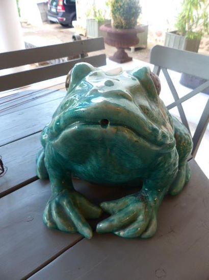 Grenouille de bassin (accident)