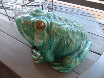 Grenouille de bassin (accident)