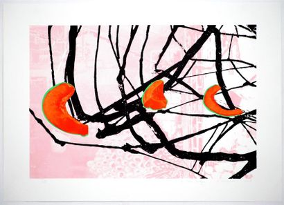 Patrick CONDOURET (1965)
Les trois courges
Sérigraphie...