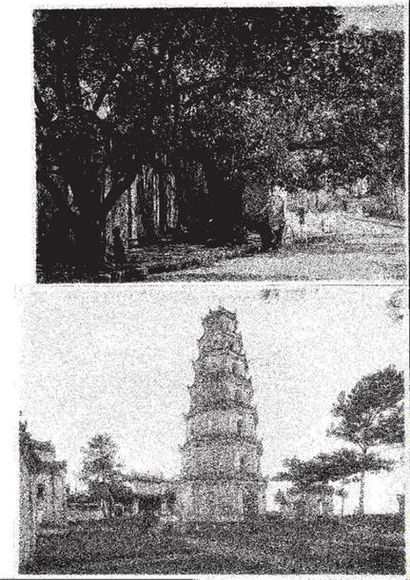 [VIETNAM] 31 photgraphies vers 1950 dont...