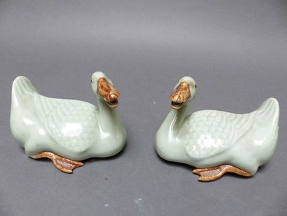 Chine, Paire de canards en porcelaine céladon...