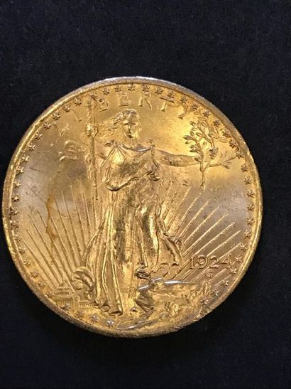 Pièces de 20 dollars or 1924