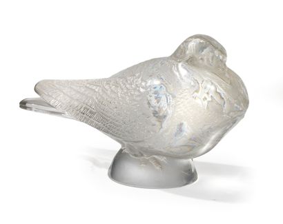 René LALIQUE (1860-1945).
Grand Pigeon Bruges....