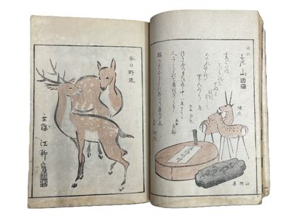 Ohara Toya (Minsei) (Japon, 1771-1840)
Album...