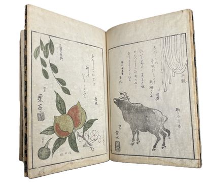 Ohara Toya (Minsei) (Japon, 1771-1840)
Album...