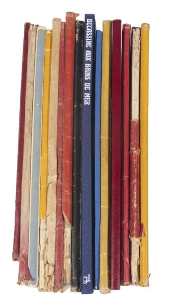 Ensemble divers de Bandes Dessinées.
Bécassine...