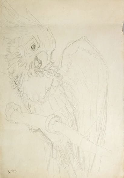 André DERAIN (1880–1954).
Parrot. 
Pencil...