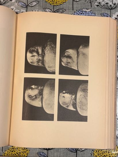 Pierre MONTET. The Royal Necropolis of Tanis....
