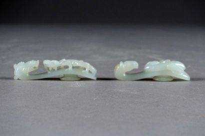 Deux Fibules de Forme crosse.
Chimera patterned....