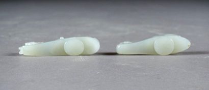 Deux Fibules de Forme crosse.
Chimera patterned....