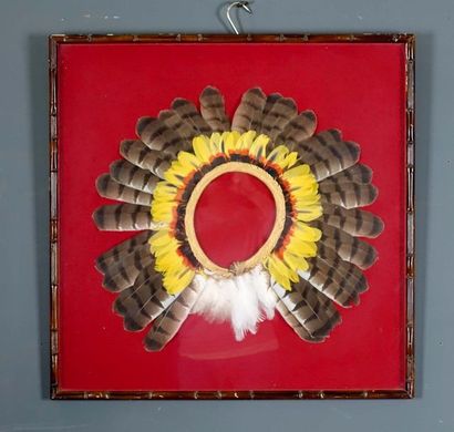 Coiffe Rikbaktsa.
A crown of feathers held...