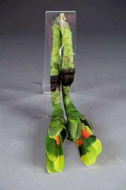 Paire d’Ornements ou de Parures d’oreilles.
Feathers....
