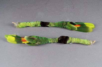 Paire d’Ornements ou de Parures d’oreilles.
Feathers....