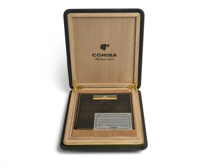 Travel humidor cohiba 50 aniversario – foto 7 – kavel bij Galerie Moderne, Elsene (Brussel)