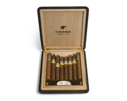 Travel humidor cohiba 50 aniversario – foto 5 – kavel bij Galerie Moderne, Elsene (Brussel)