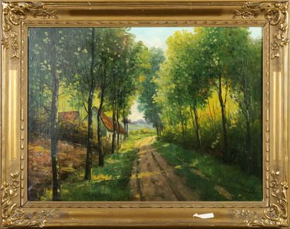Ecole Belge
Chemin forestier.
Huile sur toile,...