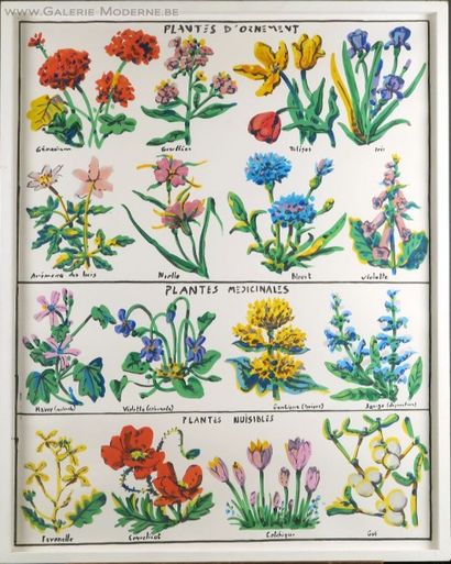 François BOISROND (1959)
Plante d'Ornement.
Gouache...