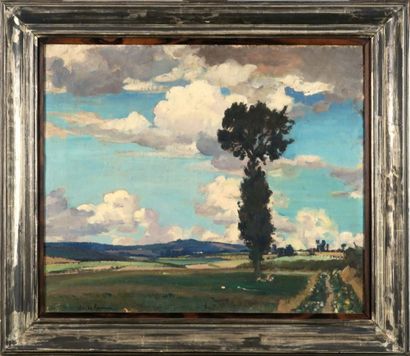 CLAUDE RAMEAU (1876-1955)
L'Arbre isolé.
Huile...