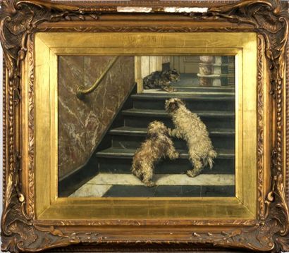 Jan Stobbaert (1838-1914)
Chiens et Chats.
Huile...