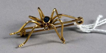 Broche 