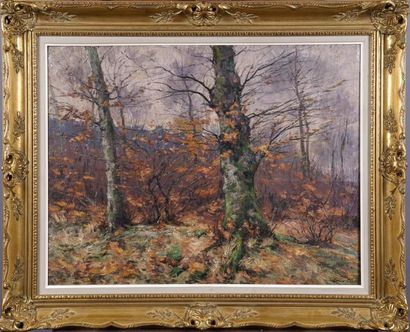 Louis Clesse (1889-1961)
Sous-bois.
Huile...