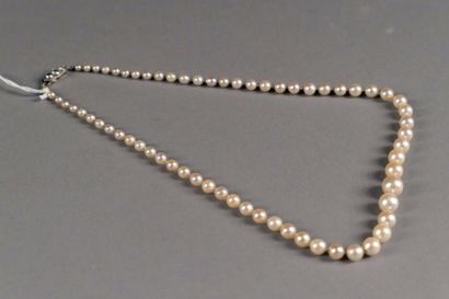 Collier. Chutes de perles de culture. Fermoir,...