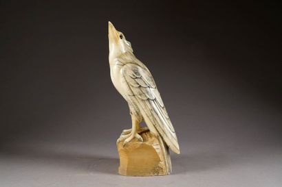 Ecole Italienne du XIXe/XXe siècle
Rapace...