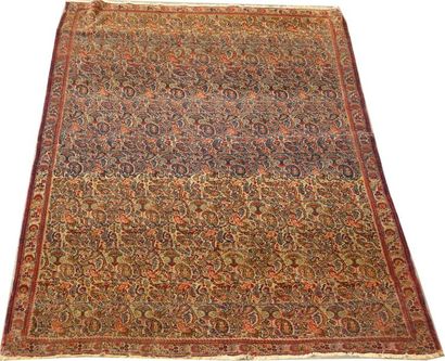 Carpette Ferahan. Décor, abrashé, de botehs...