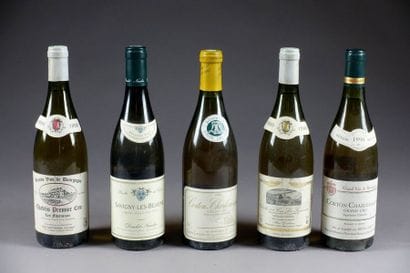 Corton-Charlemagne 1995. (1 bouteille). Grand...