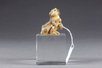 Netsuké
Figurant un singe assis. Ivoire sculpté....
