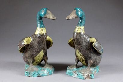 Paire de Canards. Plumage jaune, vert et...