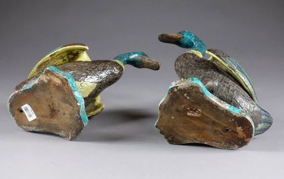 Paire de Canards. Plumage jaune, vert et...
