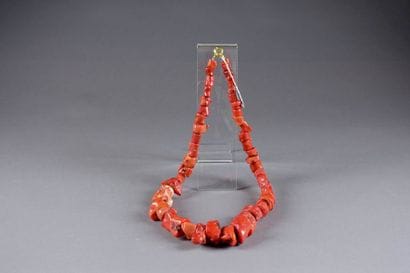 Important Sautoir. Corail rouge brut. Fermoir...
