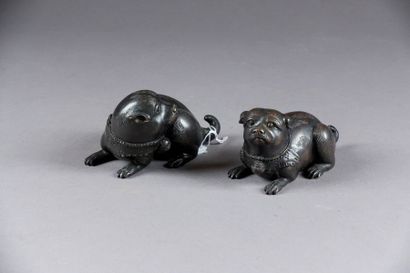 Deux Chiens couchés. Portant chacun un collier...