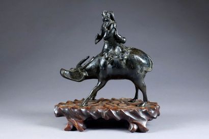Buffle chevauché par un Homme. Groupe en...