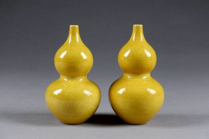Paire de petits Vases en double gourde. Décor...