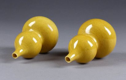 Paire de petits Vases en double gourde. Décor...