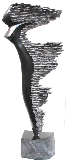 SAVA Marian
