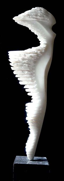 SAVA Marian
