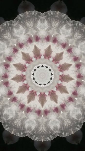 PASTELISTA
