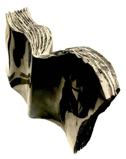 SAVA Marian
