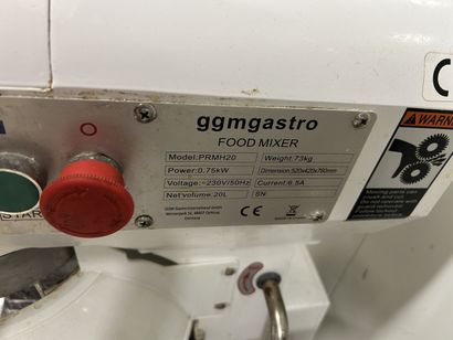 Batteur GGMGASTRO, avec cuve, crochet, fouet...