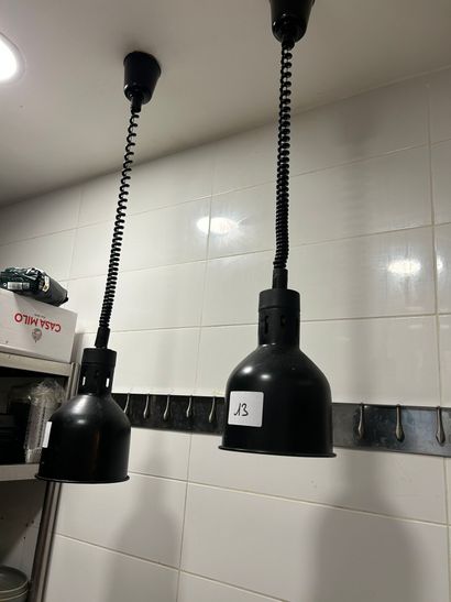 1 four micro-ondes MOULINEX et 2 lampes chauffantes...