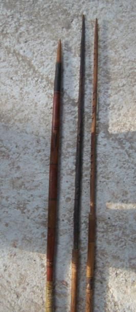 Lot: TROIS LANCES traditionnelles sur socle....