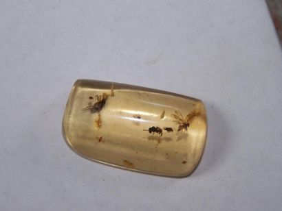 Lot: BLOC D'AMBRE avec coulée rouge «pollen»...