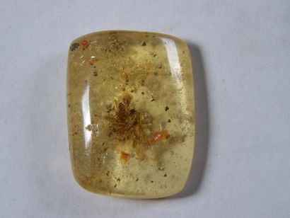 Lot: BLOC D'AMBRE avec coulée rouge «pollen»...