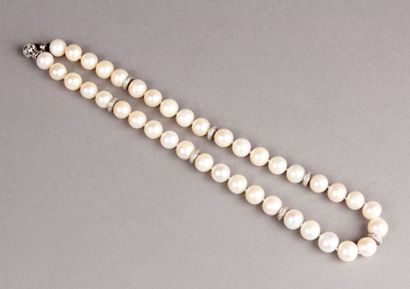 COLLIER de 40 perles de culture choker coupé...