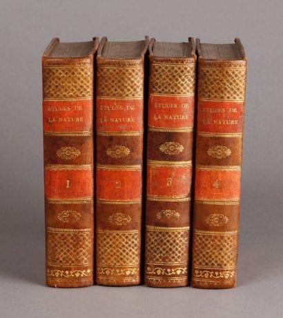 BERNARDIN DE SAINT PIERRE (Jacques Henri)

Etudes...